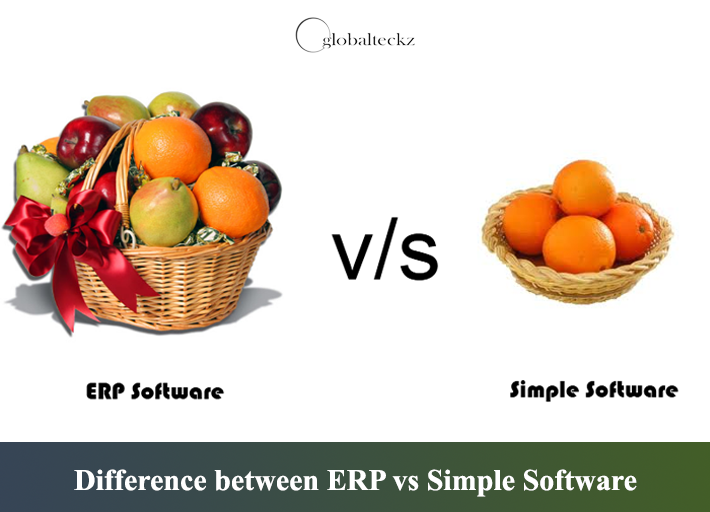 difference between erp software vs simple software