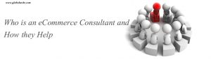 Who is an eCommerce Consultant and How they Help-Globalteckz ERP and Magento Development Company