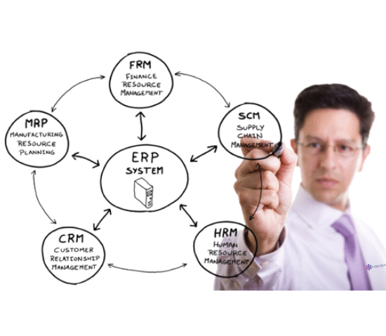 ERP consultant roles and duties