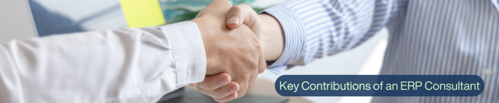 Key Contributions of an ERP Consultant