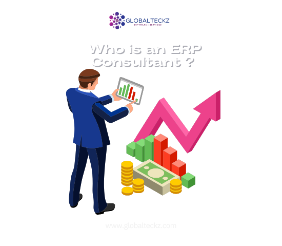 who is an erp consultant