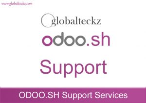 odoo.sh support services