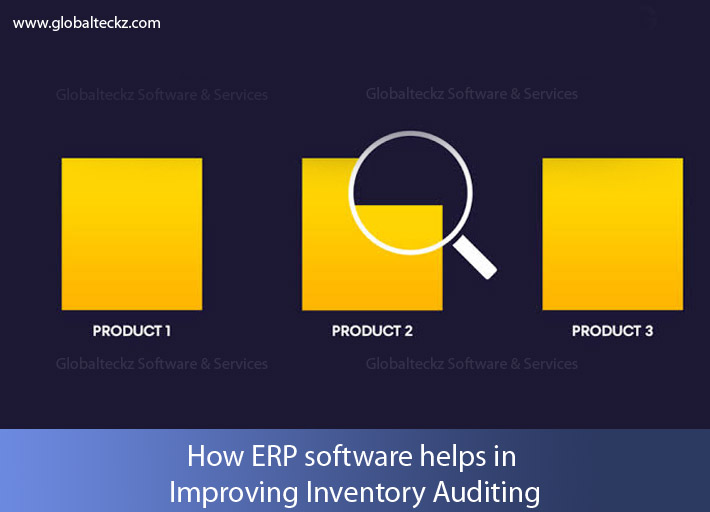 inventory auditing, erp inventory auditing
