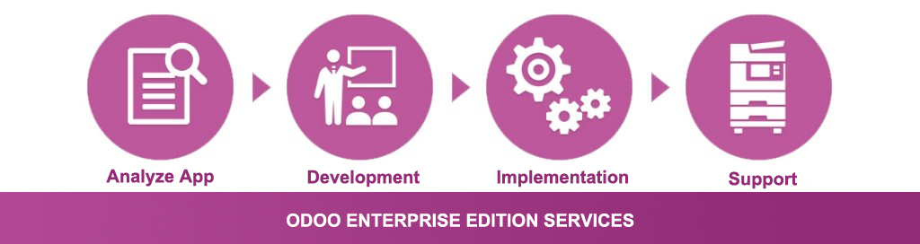 odoo enterprise edition services customizations pricing, development