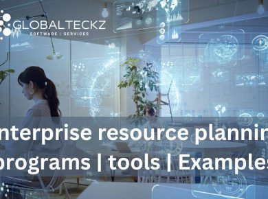 Enterprise resource planning programs tools Examples