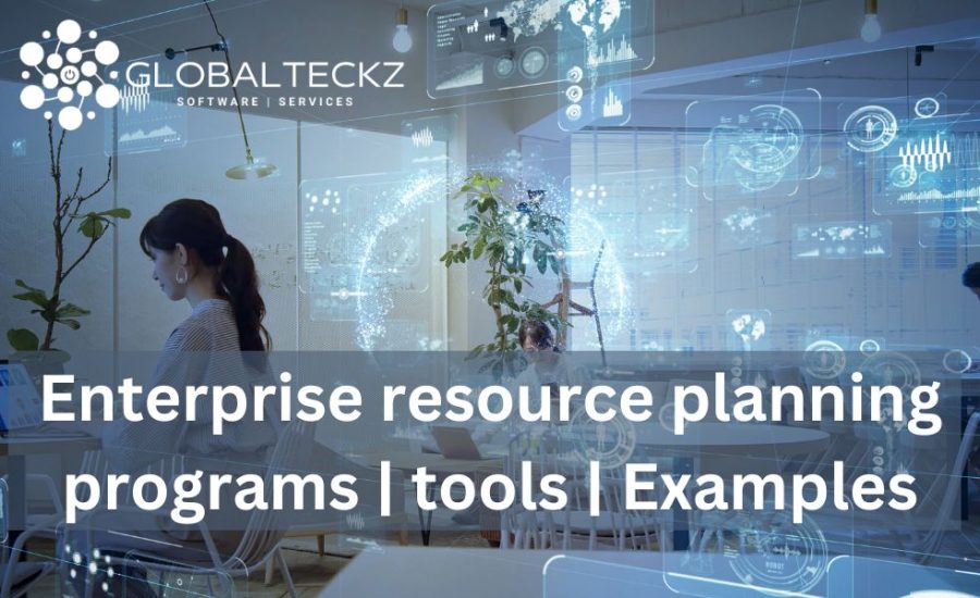 Enterprise resource planning programs tools Examples