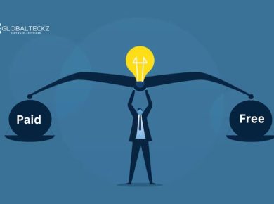 Paid vs Free Erp Solutions