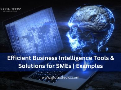 Efficient Business Intelligence Tools & Solutions for SMEs Examples
