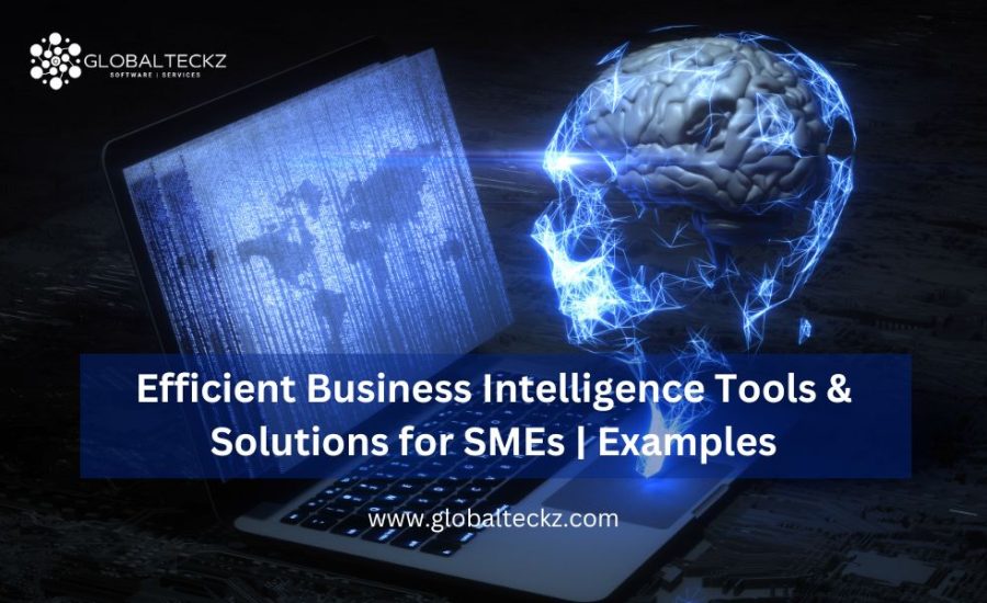 Efficient Business Intelligence Tools & Solutions for SMEs Examples