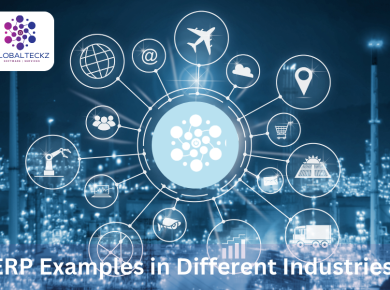 erp examples in different industries