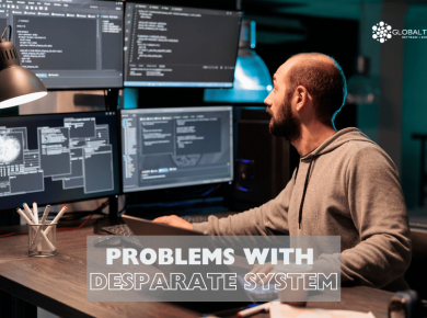 PROBLEMS WITH DESPARATE SYSTEM STANDALONE SOFTWARE