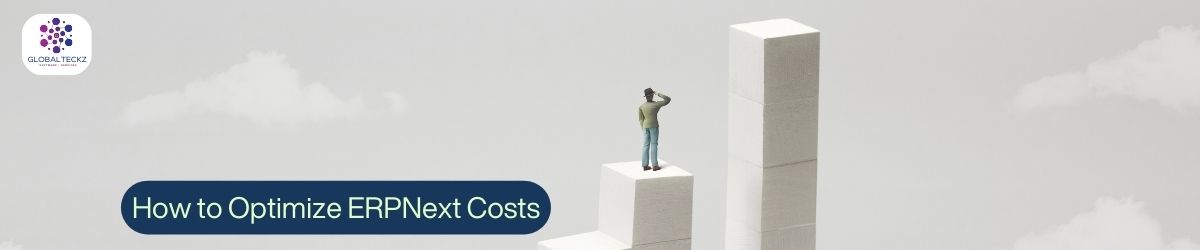 optimizing erpnext costs