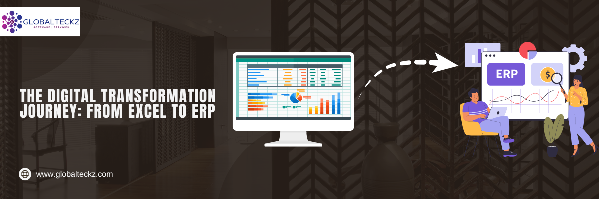 erp software with excel