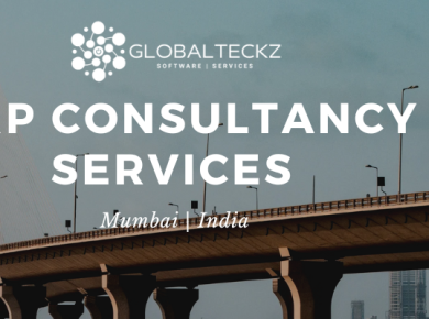 ERP consultancy services Mumbai by Globalteckz