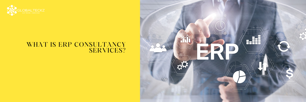 What is ERP Consultancy Services?