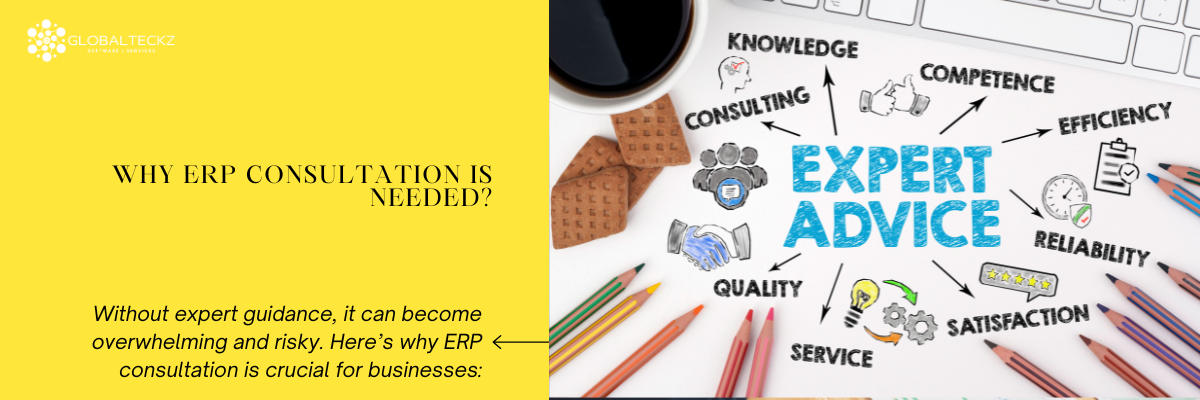 why ERP consultation is needed