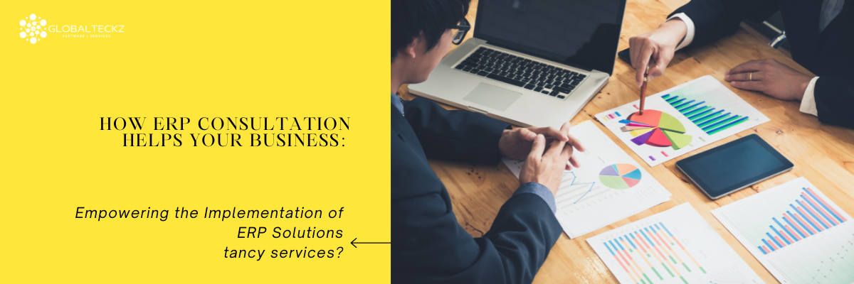 how erp consultant helps your business
