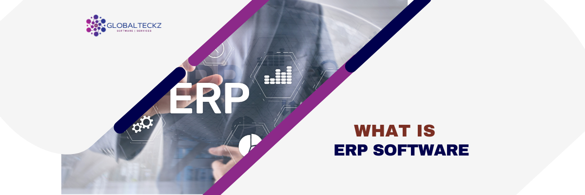 ERP Software vs Accounting System - 7 Major Differences - Globalteckz
